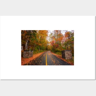 Fall Foliage Posters and Art